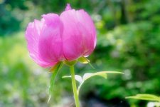 A7-04742_orton.jpg