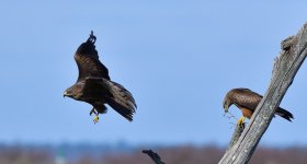 DSC_5945.jpg