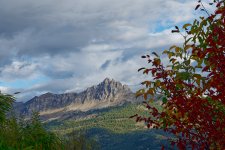 A7-07512_v2.jpg