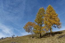 A7-07583_v1.jpg