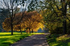 Parc de Mariemont-11.jpg