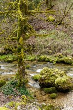 A7-07758_v1.jpg