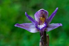 A7-07892_v1.jpg