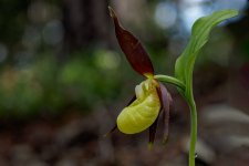 A7-07945_v1.jpg