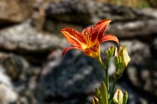 A7-08038_v3.jpg