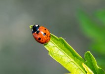 _DSC8540.jpg