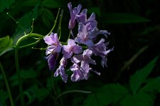 A7-07959_v1.jpg