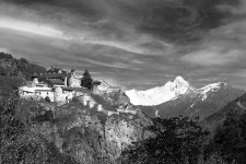 A7-07852_v1.jpg