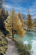 A7-08447_v1.jpg