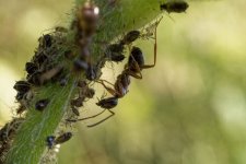 MACRO-21.jpg