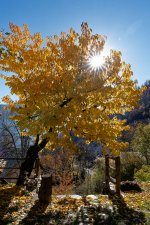 A7-08492_v1.jpg