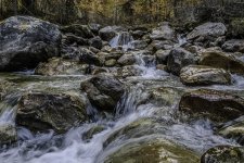 _DSC5757-Avec accentuation-Bruit.jpg