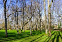 _MG_3331-Panorama HDR.jpg