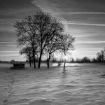 Wasmuel-118-HDR.jpg