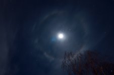 Halo de lune - Copie.jpg