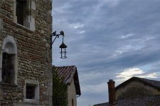 Couple de pigeons.jpg