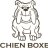 chienboxer
